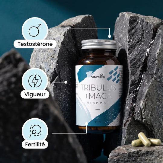 Viboost Tribulus + Maca : testostérone, vigueur et fertilité