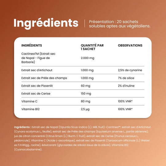 Ingredients de Magrifit Detox : Cactinea, artichaut, prele et pissenlit