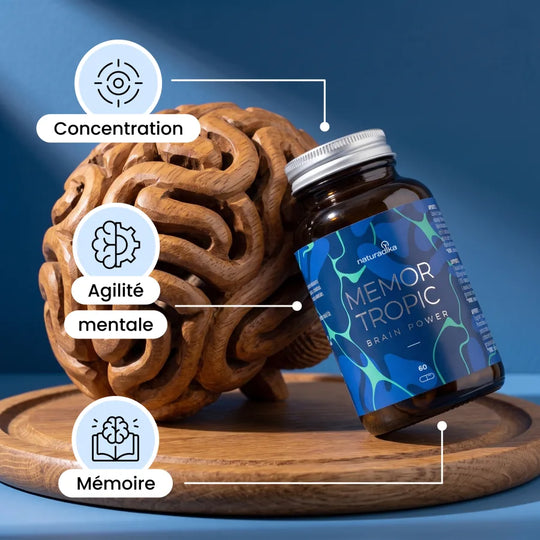 Memor Tropic : concentration, agilité mentale et mémoire