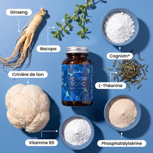 Ingrédients naturels de Memor Tropic : ginseng, bacopa monnieri, crinière de lion et L-théanine