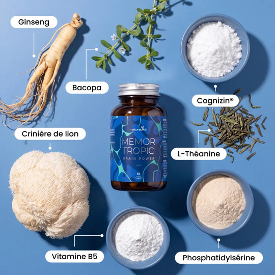 Ingrédients naturels de Memor Tropic : ginseng, bacopa monnieri, crinière de lion et L-théanine