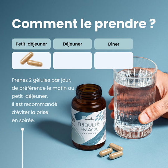 Viboost Tribulus + Maca