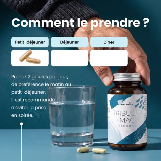 Comment prendre Viboost Tribulus + Maca : 2 gélules par jour au petit-déjeuner
