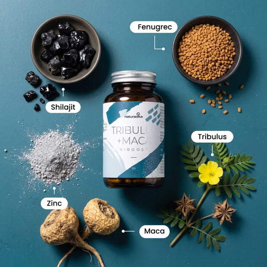 Ingrédients naturels de Viboost Tribulus + Maca : shilajit, fenugrec, tribulus, maca et zinc