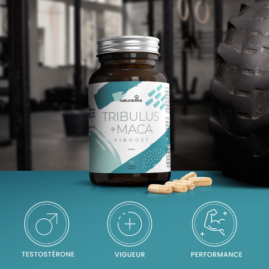 Booster de Testostérone Efficace Viboost Tribulus Maca
